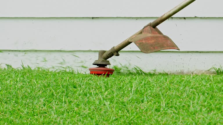 Best Aeration Services  in Kahaluu Keauhou, HI